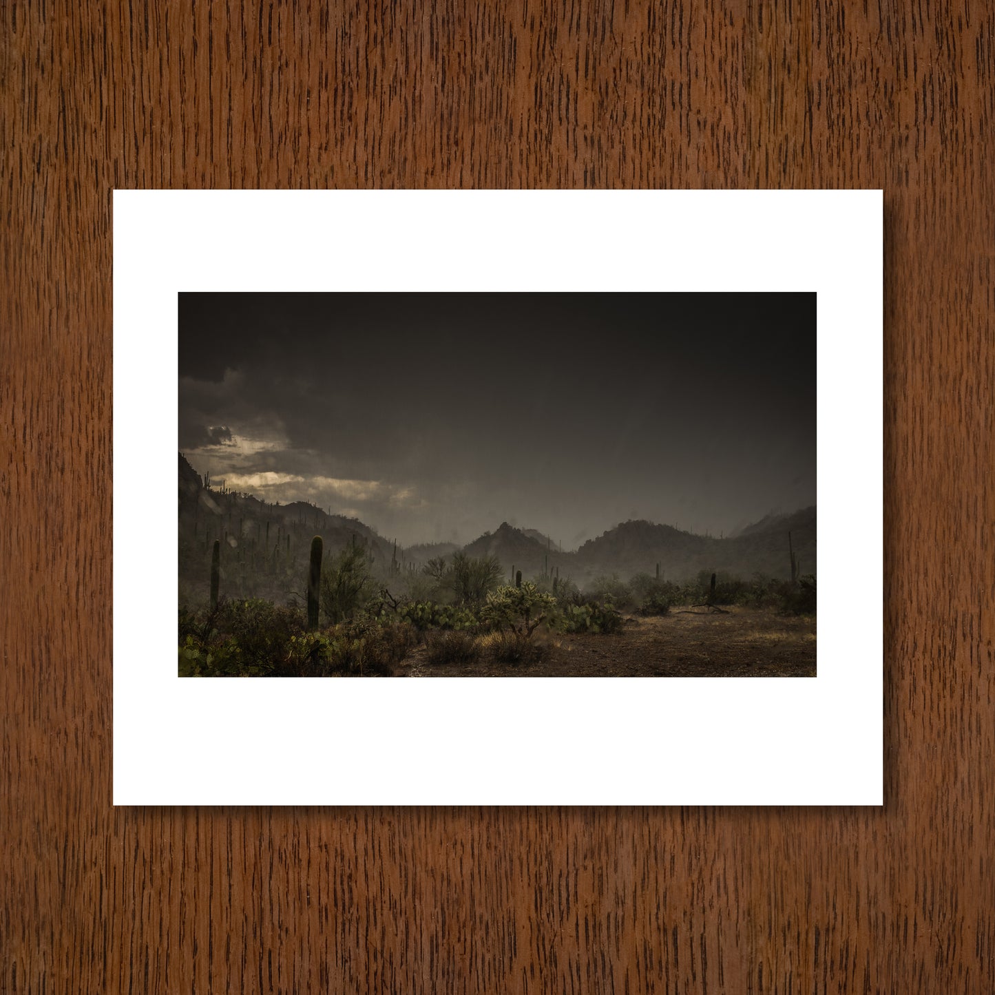 Rainstorm, Saguaro National Park